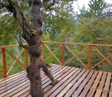 Moquehue Apartamento | Parajes del Lejano Sur Cabaña El Calden