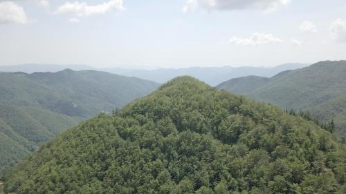 Barga Casa | Parco Colle Fobia