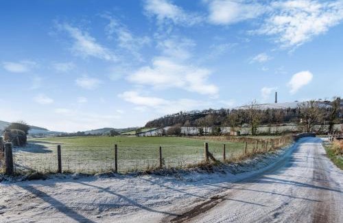 Lampeter Casa | Parlwr Godro - Uk41513