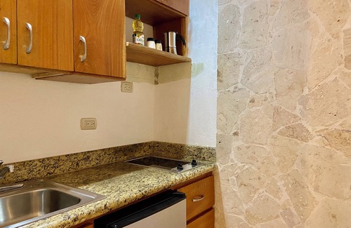 Zona Colonial Apartamento | Paseo Colonial - Ermitage 5