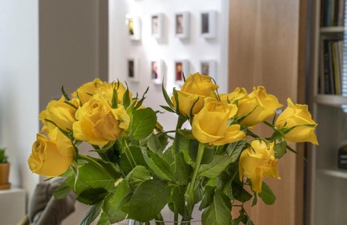 Belfast Apartamento | Pass the Keys Lovely 1BR Apt Belfast Castle Hiking Nearby