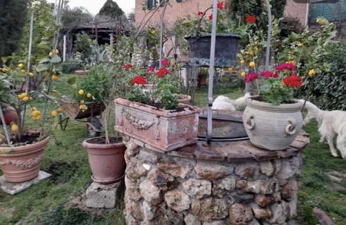 Siena Apartamento | Patti House