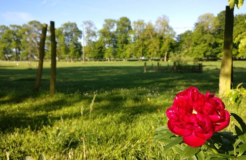 Ocqueville Casa | Casa rural en una típica casa de campo normanda - cerca del mar