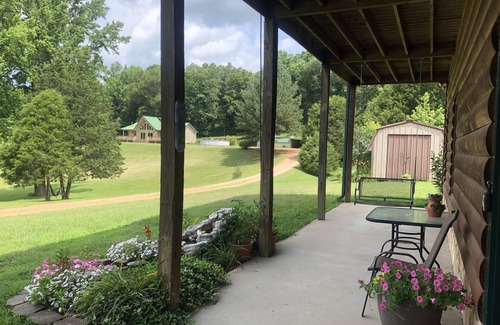 Centerville Cabina | Peaceful Hills Cabin on 97 Acres - Clean, Family-Friendly, Peaceful & Quiet!