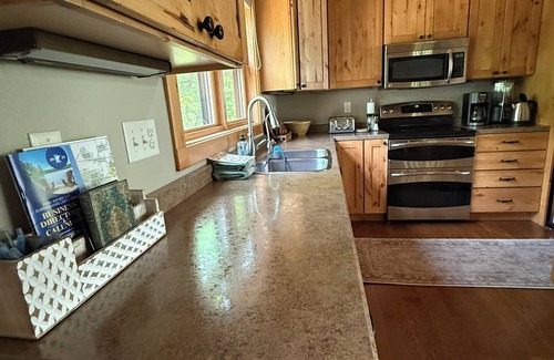 Menahga Cabina | Peaceful Lakefront Cabin w/ Sauna & Loft-pet friendly
