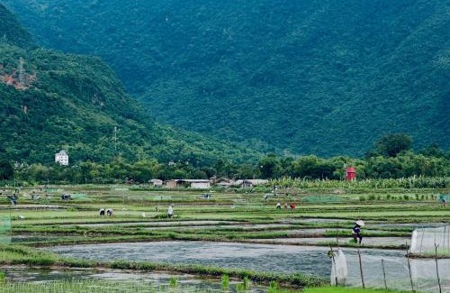 Mai Chau Cama Y Desayuno | Peaceful MaiChau Homestay