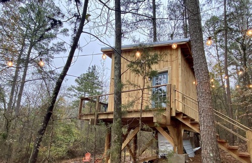 Boles Cabina | Peaceful Treehouse in the Forest