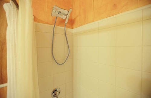 Northwest Berkeley Casa | Peacock Room Jungle Lounge, Easy access and WiFi, Berkeley