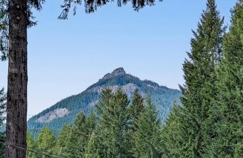Packwood Casa | Peak View