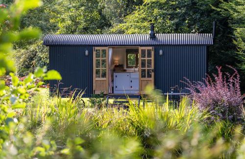 Ballymoney Cama Y Desayuno | Peatlands