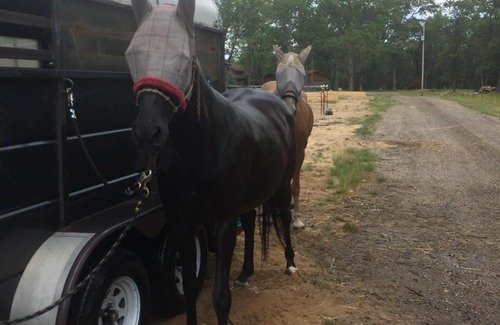 National City Alquiler De RV | Conexiones para remolques de caballos de Pegasus Springs