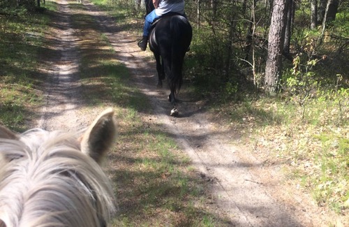 National City Alquiler De RV | Conexiones para remolques de caballos de Pegasus Springs