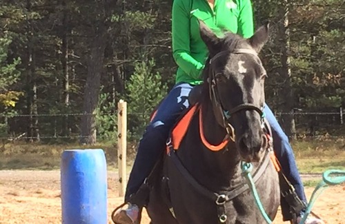 National City Alquiler De RV | Conexiones para remolques de caballos de Pegasus Springs