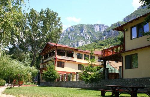 Baile Herculane Casa | Pension Cuibul Viselor