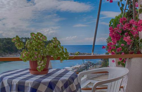 Votsi Apartamento | Pension Dimitris