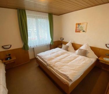 Mainz-Bingen Casa | Pension Milberg Assmannshausen