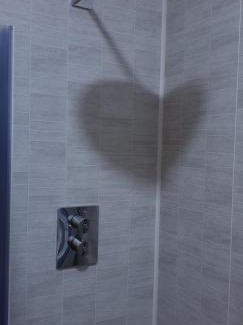 Alovera Casa | Pension San Marcos