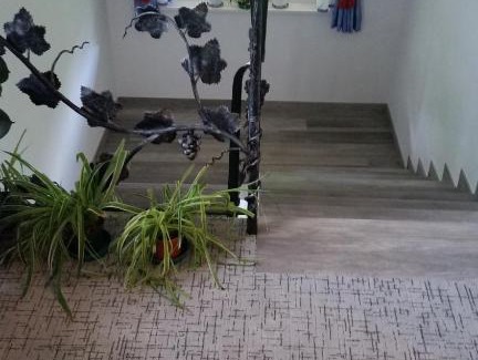 Rifiano Casa | Pension Weinberg