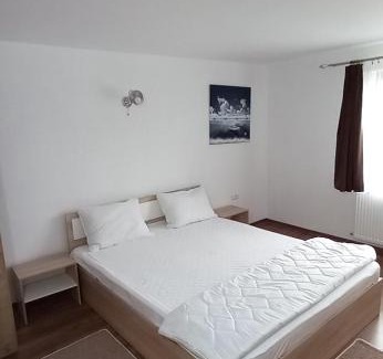 Copalnic-Manastur Casa | Pensiune Restaurant Alex