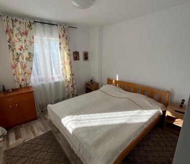 Petrosani Casa | Pensiunea Alexia