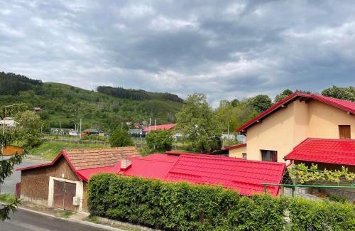 Tirgu Ocna Casa | Pensiunea Amelia