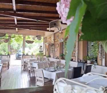 Sebes Hotel | Pensiunea Boema