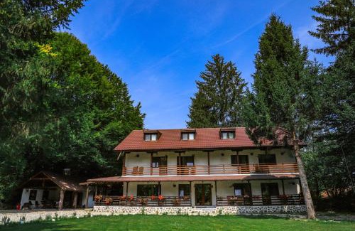 Avrig Casa | Pensiunea Vinatur