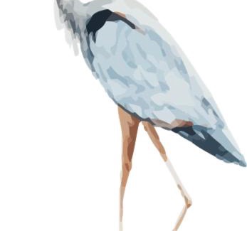 Luedinghausen Apartamento | Penthaus Kranichholz