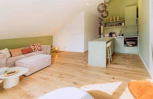 Krov Apartamento | Penthouse 1 - Cabinet Boutique Apartments