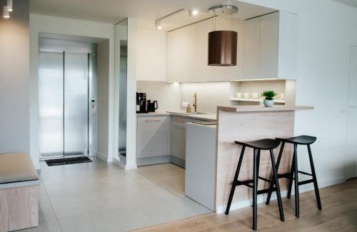 Ponice Apartamento | Penthouse Słoneczna Rapsodia - blisko Parku Zdrojowego - duży taras na dachu - piękny widok - winda - garaż