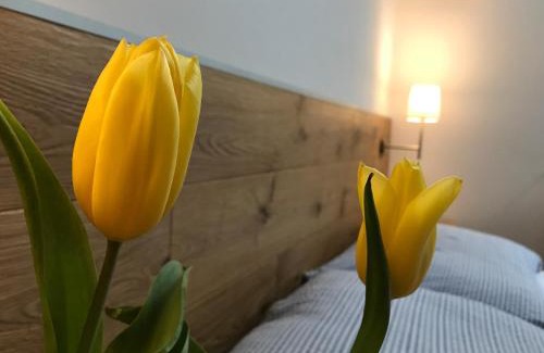 Terchova Casa | Penzion Biely Potok