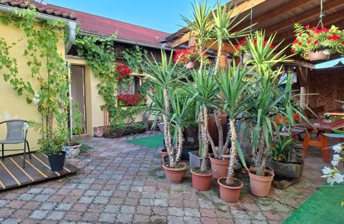 Jindrichuv Hradec Casa | Penzion Many Peny