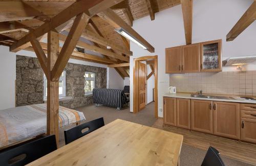 Janov nad Nisou Apartamento | Penzion Solaris