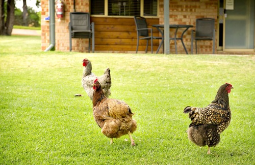 Margaret River Cabaña | Peppermint Brook Cottages