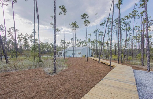 Thomas Drive Casa | Perfect 2-bedroom tiny house with pickleball courts in Panama City.