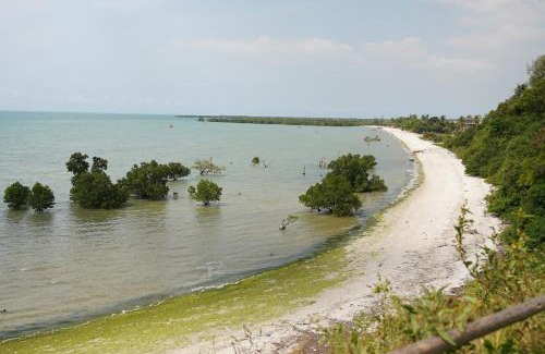 Bagamoyo Villa | Perfect Beach Villa In Bagamoyo