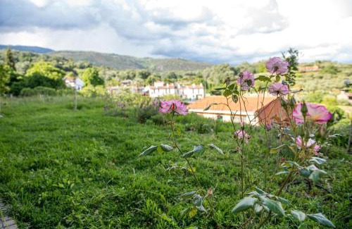 Villanueva De La Vera Apartamento | Perla Vera - Country Modern Apartment