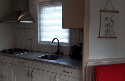 Tzummarum Chalet De Esquí | Chalet sin mascotas con jardín verde en Frisia