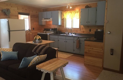 Thompsonville Cabina | Retiro de Betsie River que admite mascotas - Capacidad para 10 personas - ¡Esquí, pescado y mucho más!