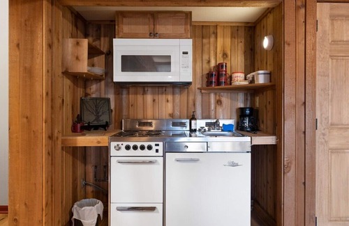 Big Canoe Cabina | Pet Friendly Cabin: Hot Tub, Game Room, Fire Pits