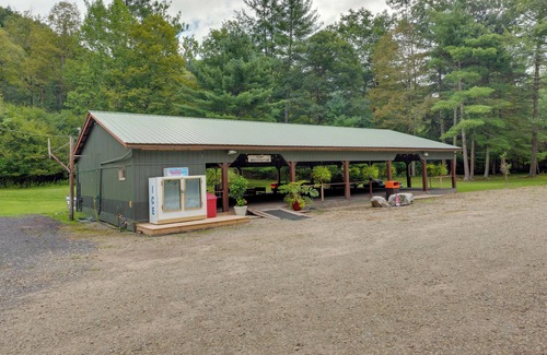 Hillsgrove Cabaña | Pet-friendly Hillsgrove Cabin w/ Community Perks!