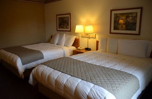 Thorp Casa | Pet-Friendly Property Near Conway Park, Free Breakfast and Parking