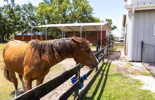 Punta Gorda Apartamento | Pet-Friendly Punta Gorda Vacation Rental with Patio!