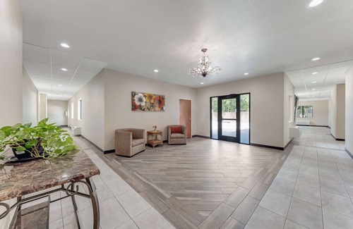 Nevada Street Hotel | Pet-Friendly Room Near The Alamo w/ Free Breakfast Included - DT Location