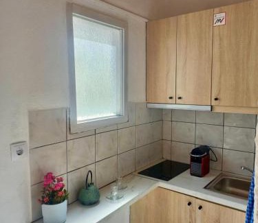 Karlovassi Apartamento | Petalides Studios