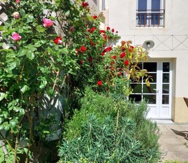Blasimon Casa | Petit Est - Eco Cottage in large private garden near Saint-Emilion