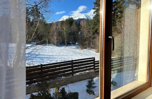 Shiligarnika Apartamento | Pine Tree - charming apartment