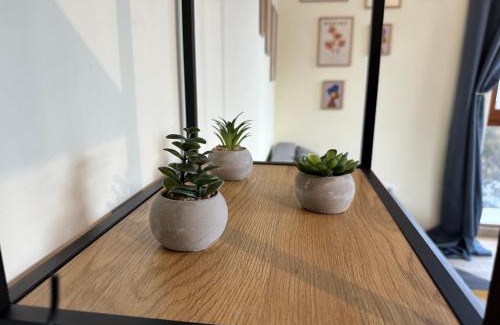 Shiligarnika Apartamento | Pine Tree - charming apartment