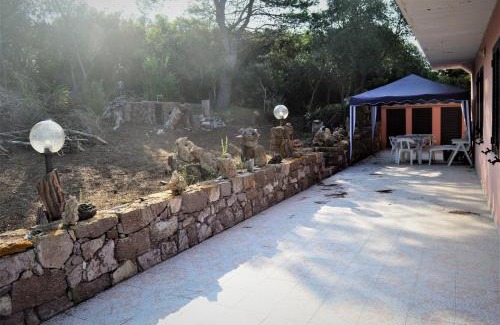 Spiaggia Grande Casa | Pineta Spiaggia Grande