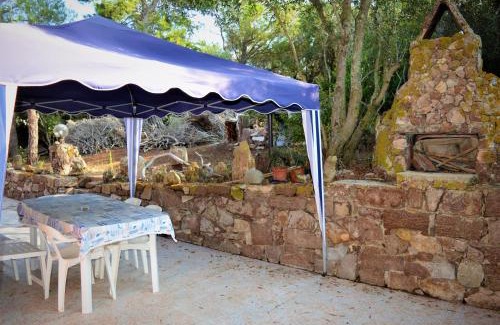 Spiaggia Grande Casa | Pineta Spiaggia Grande